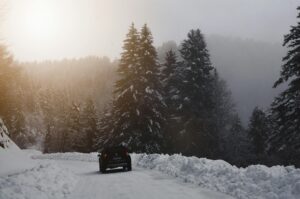 Conduir amb Neu